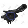 ABAKUS 038-025-0006 Termostato, refrigerante - 1