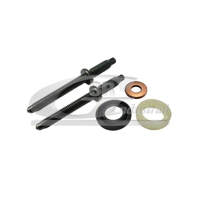 3RG 81293 Juego de juntas, inyector