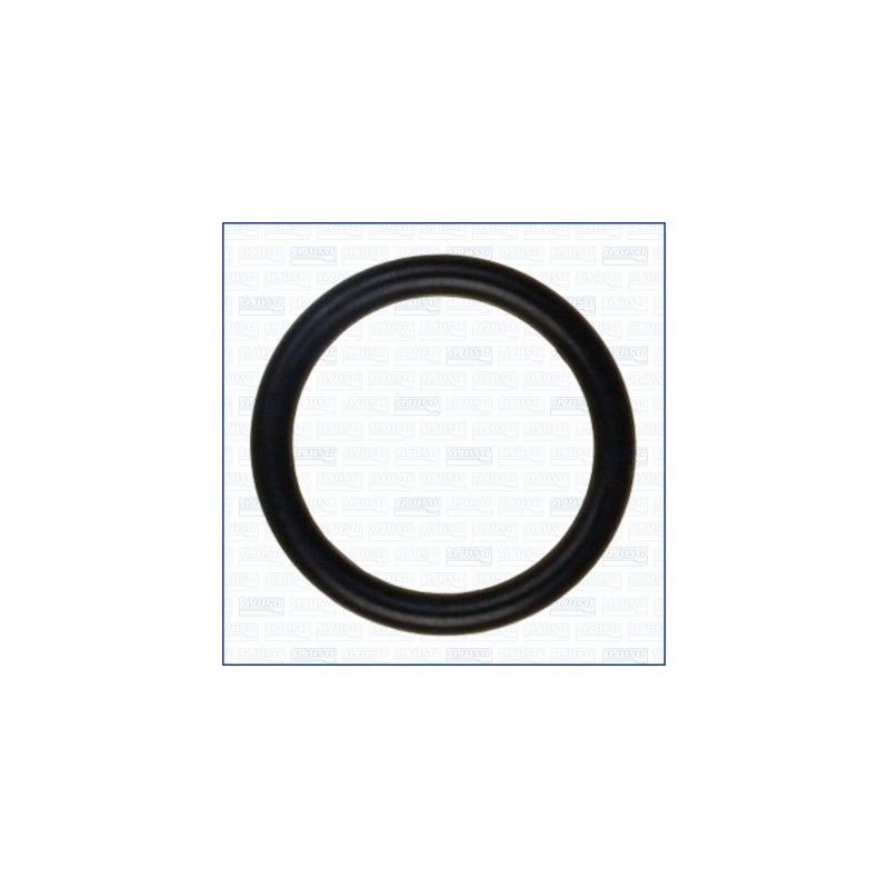 AJUSA 16063100 Junta, tapa de tubo de llenado de aceite