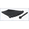 AJUSA 81001800 Juego de tornillos de culata