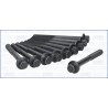 AJUSA 81002500 Juego de tornillos de culata
