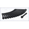 AJUSA 81002800 Juego de tornillos de culata