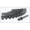AJUSA 81003600 Juego de tornillos de culata
