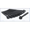 AJUSA 81003900 Juego de tornillos de culata