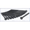 AJUSA 81004600 Juego de tornillos de culata