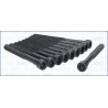 AJUSA 81005700 Juego de tornillos de culata