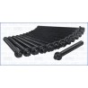 AJUSA 81008500 Juego de tornillos de culata