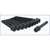 AJUSA 81012100 Juego de tornillos de culata