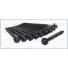 AJUSA 81024700 Juego de tornillos de culata