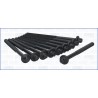 AJUSA 81031700 Juego de tornillos de culata