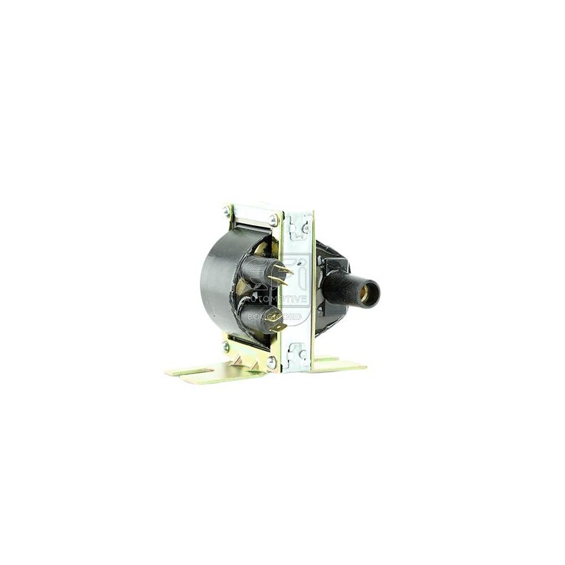 EFI AUTOMOTIVE 155065 Bobina de encendido