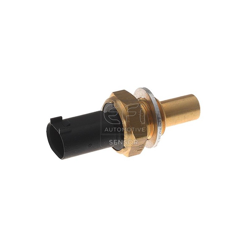 EFI AUTOMOTIVE 295004 Sensor, temperatura combustible