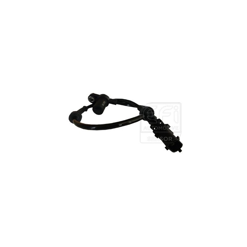 EFI AUTOMOTIVE 302076 Sensor, revoluciones de la rueda