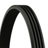 CONTINENTAL CTAM 4PK1045 Correa trapecial poli V