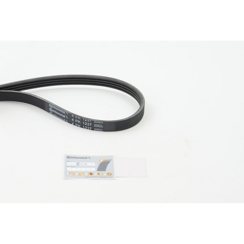 CONTINENTAL CTAM 4PK1237 Correa trapecial poli V
