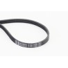 CONTINENTAL CTAM 4PK1538 Correa trapecial poli V