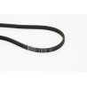 CONTINENTAL CTAM 4PK841 Correa trapecial poli V