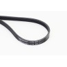 CONTINENTAL CTAM 4PK905 Correa trapecial poli V
