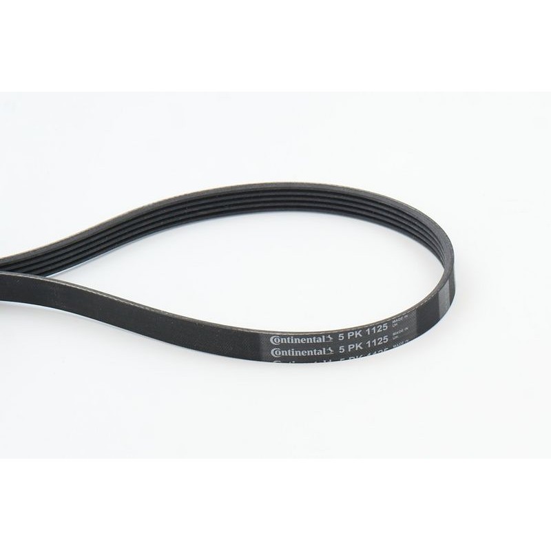 CONTINENTAL CTAM 5PK1125 Correa trapecial poli V