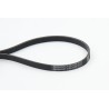 CONTINENTAL CTAM 5PK1125 Correa trapecial poli V