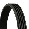 CONTINENTAL CTAM 5PK1155 Correa trapecial poli V