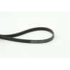 CONTINENTAL CTAM 5PK1200 Correa trapecial poli V