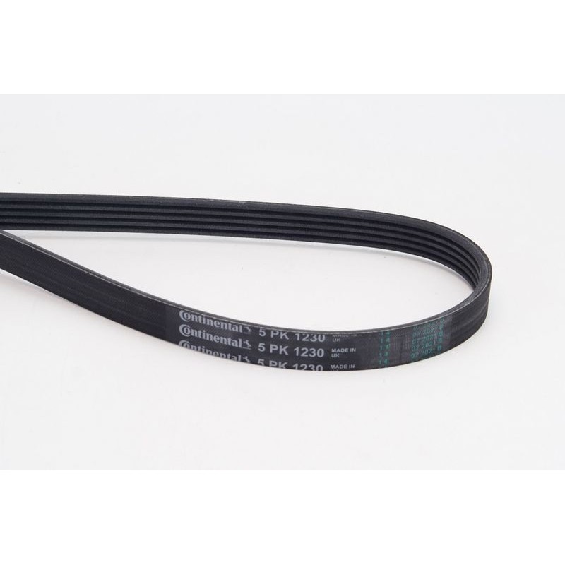 CONTINENTAL CTAM 5PK1230 Correa trapecial poli V