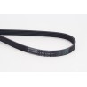 CONTINENTAL CTAM 5PK1230 Correa trapecial poli V