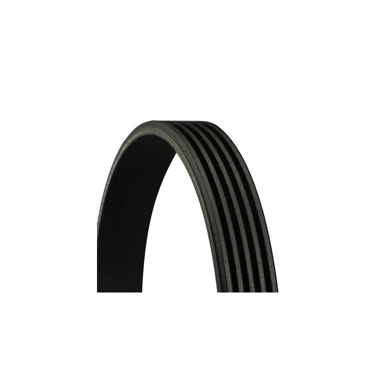 CONTINENTAL CTAM 5PK1240 Correa trapecial poli V
