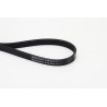 CONTINENTAL CTAM 5PK875 Correa trapecial poli V