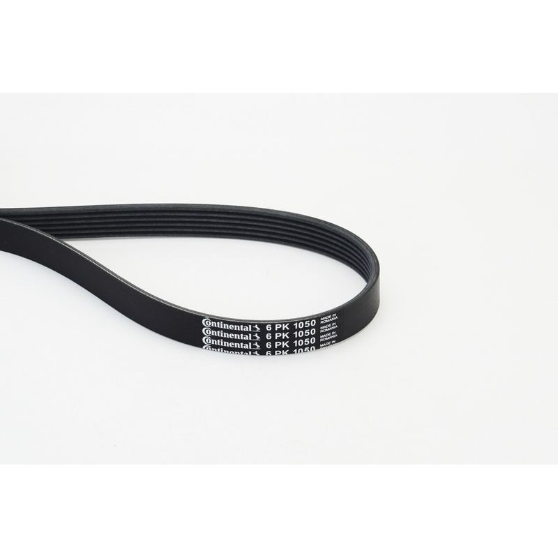 CONTINENTAL CTAM 6PK1050 Correa trapecial poli V