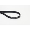 CONTINENTAL CTAM 6PK1050 Correa trapecial poli V