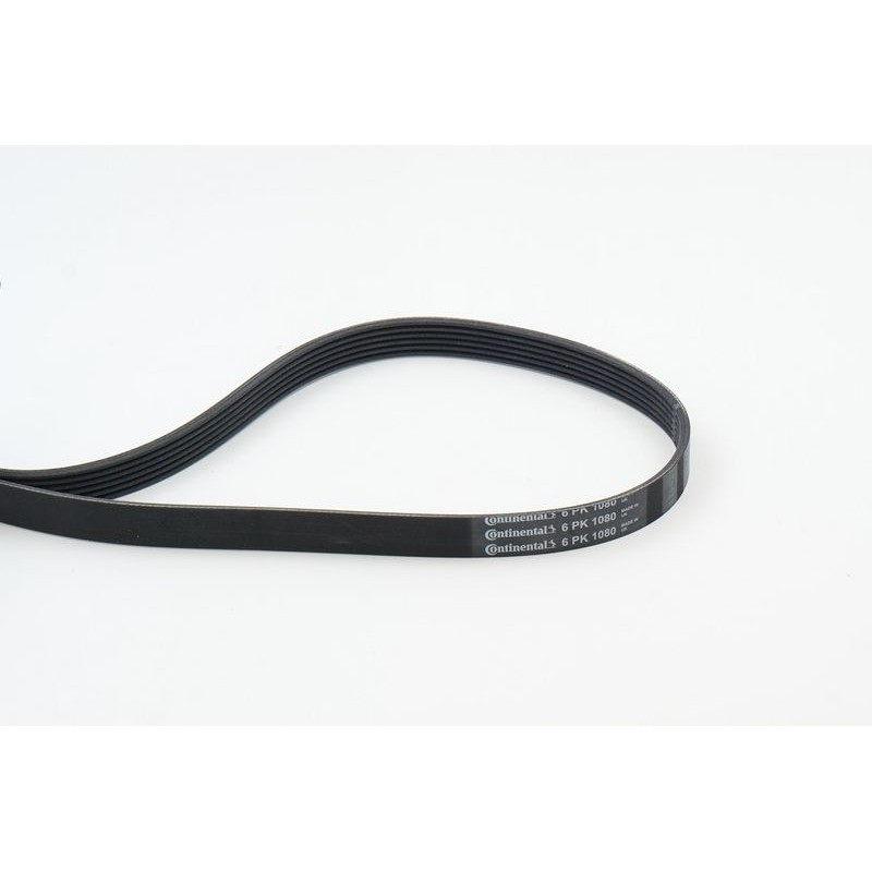 CONTINENTAL CTAM 6PK1080 Correa trapecial poli V