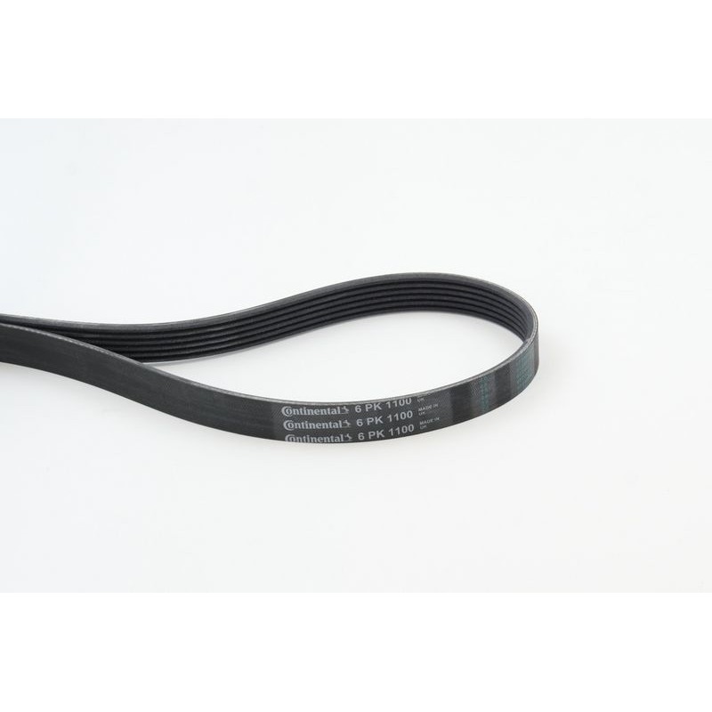 CONTINENTAL CTAM 6PK1100 Correa trapecial poli V