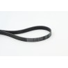 CONTINENTAL CTAM 6PK1100 Correa trapecial poli V