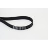 CONTINENTAL CTAM 6PK1125 Correa trapecial poli V