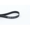 CONTINENTAL CTAM 6PK1190 Correa trapecial poli V