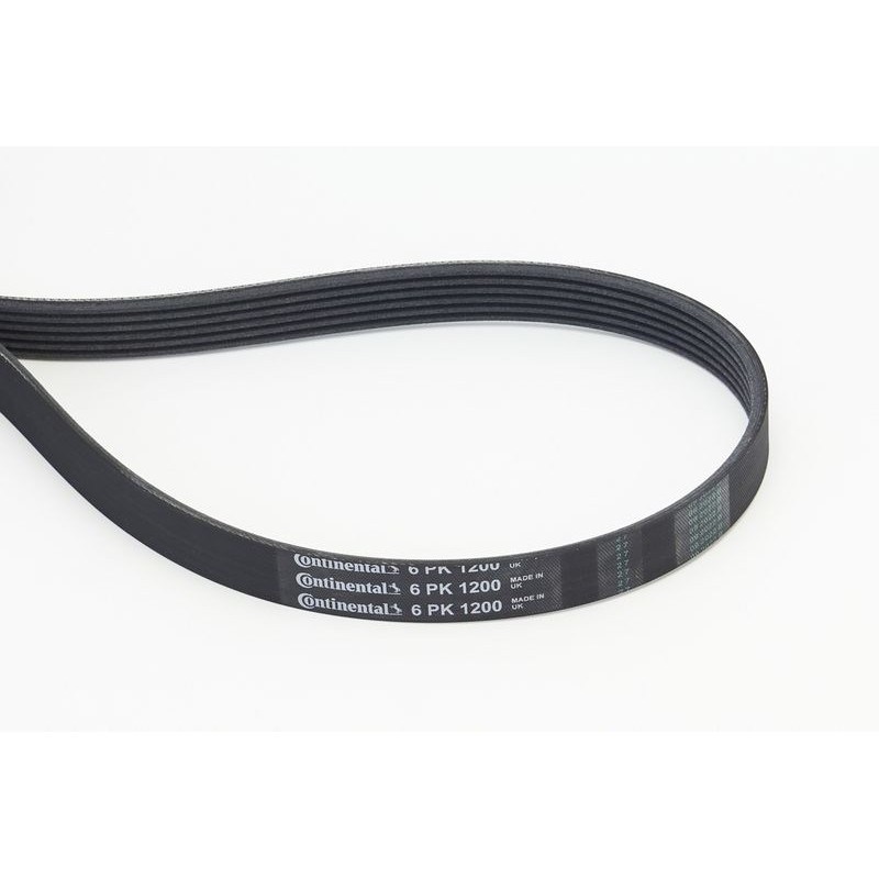 CONTINENTAL CTAM 6PK1200 Correa trapecial poli V
