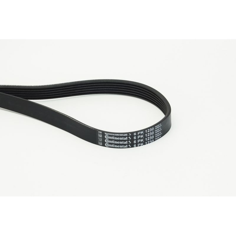 CONTINENTAL CTAM 6PK1230 Correa trapecial poli V