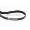 CONTINENTAL CTAM 6PK1306 Correa trapecial poli V