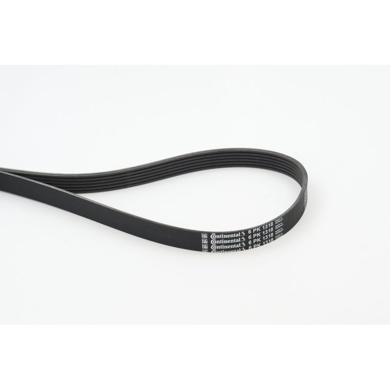 CONTINENTAL CTAM 6PK1318 Correa trapecial poli V