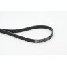 CONTINENTAL CTAM 6PK1318 Correa trapecial poli V