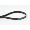 CONTINENTAL CTAM 6PK1352 Correa trapecial poli V