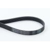 CONTINENTAL CTAM 6PK1360 Correa trapecial poli V