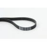 CONTINENTAL CTAM 6PK1370 Correa trapecial poli V