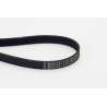 CONTINENTAL CTAM 6PK1390 Correa trapecial poli V