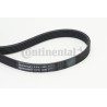 CONTINENTAL CTAM 6PK1400 Correa trapecial poli V