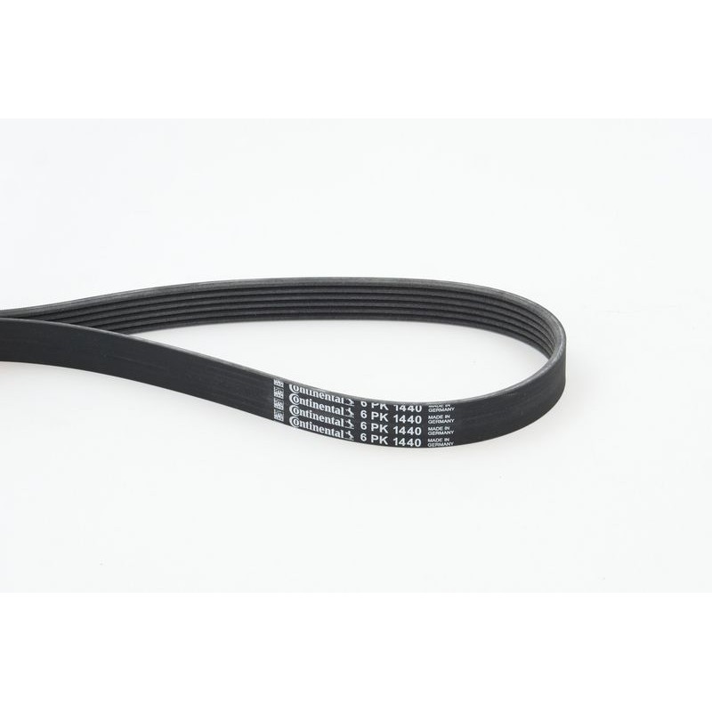 CONTINENTAL CTAM 6PK1440 Correa trapecial poli V