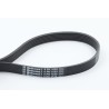 CONTINENTAL CTAM 6PK1538 Correa trapecial poli V