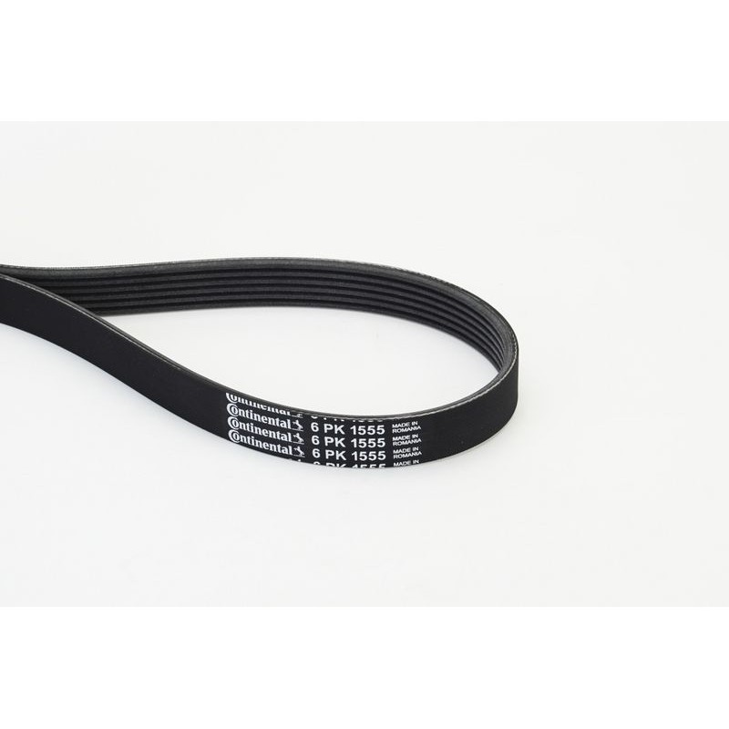 CONTINENTAL CTAM 6PK1555 Correa trapecial poli V